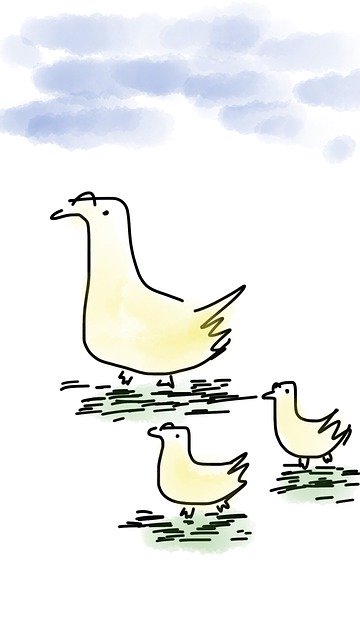 Free download Duck Goose Bird -  free illustration to be edited with GIMP free online image editor