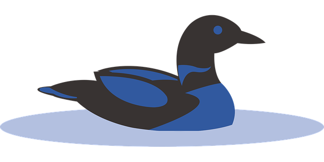 Free download Duck Wild Animals - Free vector graphic on Pixabay free illustration to be edited with GIMP free online image editor