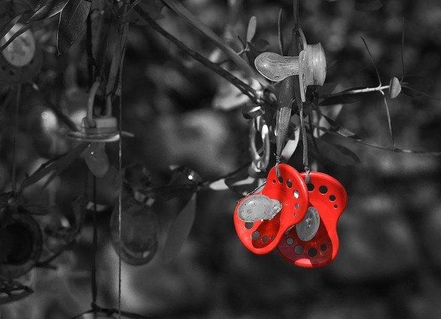 Free download dummy pacifier tree tradition red free picture to be edited with GIMP free online image editor