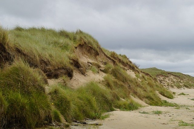 Free download Dune Beach North Sea -  free photo or picture to be edited with GIMP online image editor