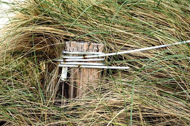 Free download Dune Grass Dunes Wooden Posts -  free photo or picture to be edited with GIMP online image editor