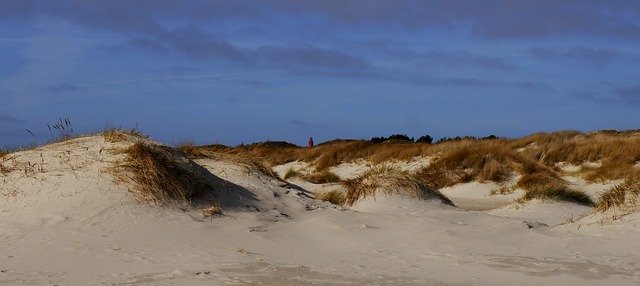 Free download Dunes Amrum Island -  free photo or picture to be edited with GIMP online image editor