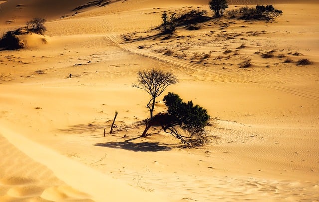 Free download dune sand landscape vietnam heat free picture to be edited with GIMP free online image editor