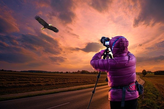 Free download Eagle Camera Woman -  free photo or picture to be edited with GIMP online image editor