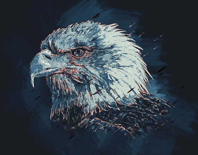 Free download Eagle Colorful Sketch -  free illustration to be edited with GIMP free online image editor