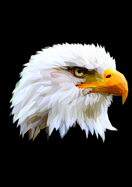 Бесплатно скачать Eagle Head Lowpoly - бесплатную иллюстрацию для редактирования с помощью бесплатного онлайн-редактора изображений GIMP