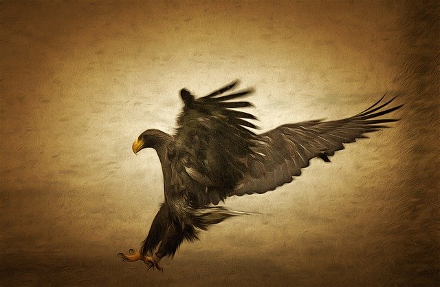 Free download Eagle Hunting Raids Bird Of -  free illustration to be edited with GIMP free online image editor