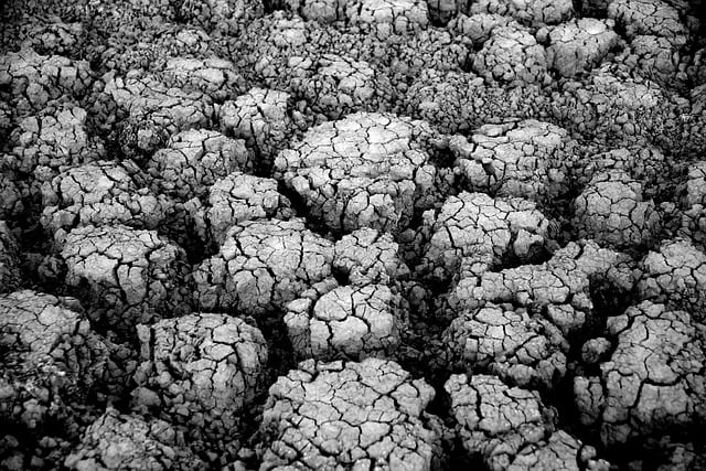 Free download earth cracks drought desert free picture to be edited with GIMP free online image editor