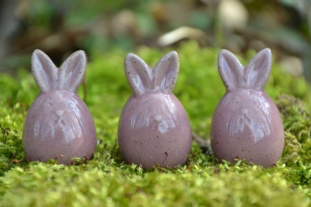 Kostenloser Download Easter Bunny Cute - kostenloses Foto oder Bild zur Bearbeitung mit GIMP Online-Bildbearbeitung