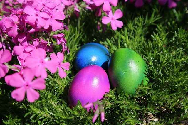 Free download Easter Nest Egg -  free photo or picture to be edited with GIMP online image editor