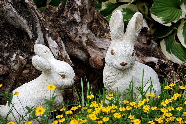 Unduh gratis Easter Pictures Rabbit Ears Nature - foto atau gambar gratis untuk diedit dengan editor gambar online GIMP