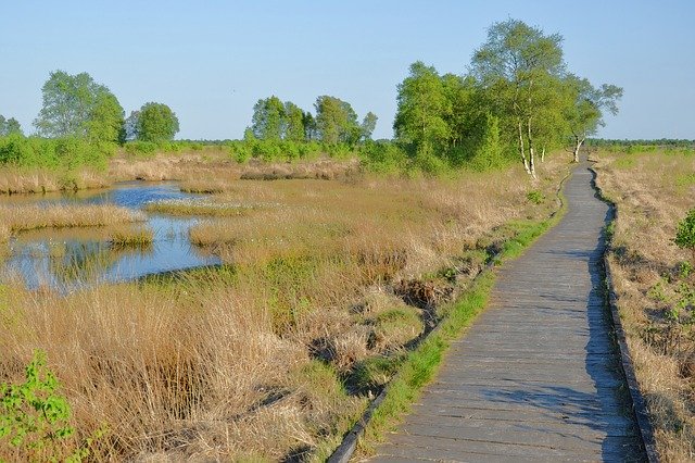 Free download East Frisia Eternal Sea Moor -  free photo or picture to be edited with GIMP online image editor