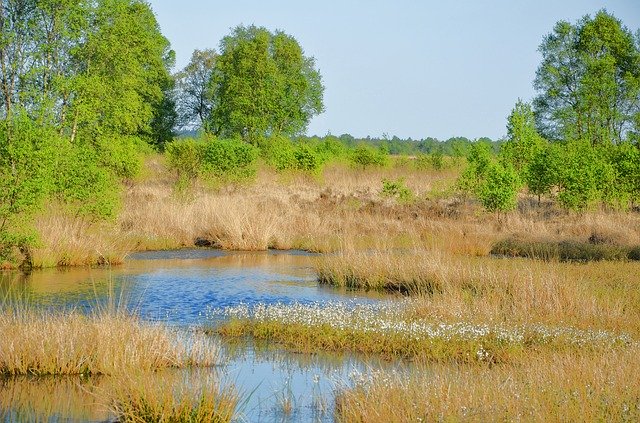 Free download East Frisia Moor Lower Saxony -  free photo or picture to be edited with GIMP online image editor