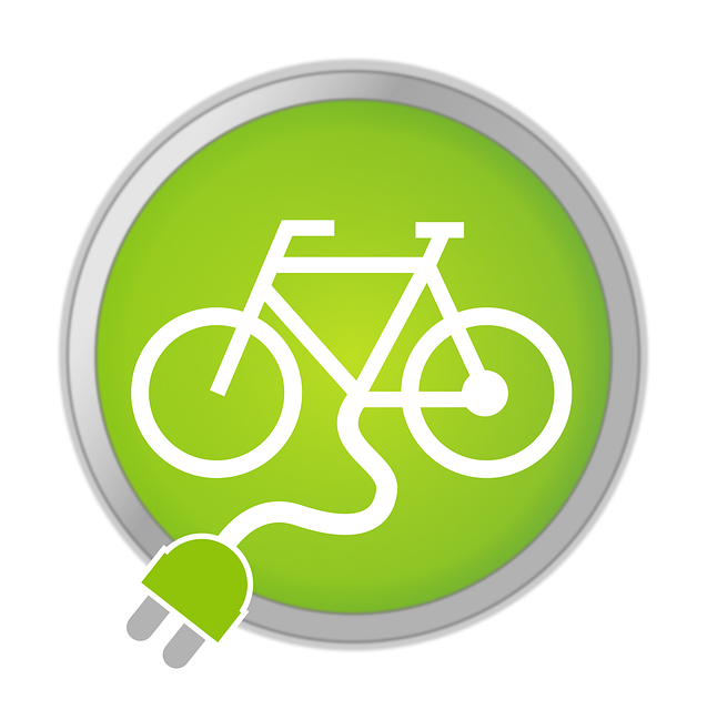 Free download E-Bike Bike Pedelec - Free vector graphic on Pixabay free illustration to be edited with GIMP free online image editor