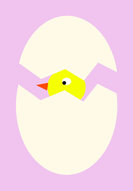 Free download Egg Baby Bird Springtime -  free illustration to be edited with GIMP free online image editor