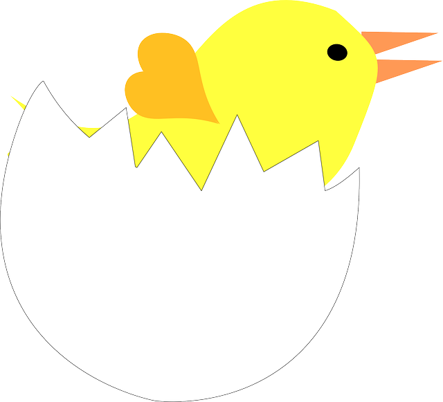 Free download Egg Chick Eggshell - Free vector graphic on Pixabay free illustration to be edited with GIMP free online image editor