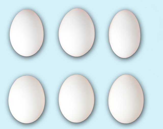 Free download Egg Chicken Eggs -  free illustration to be edited with GIMP free online image editor