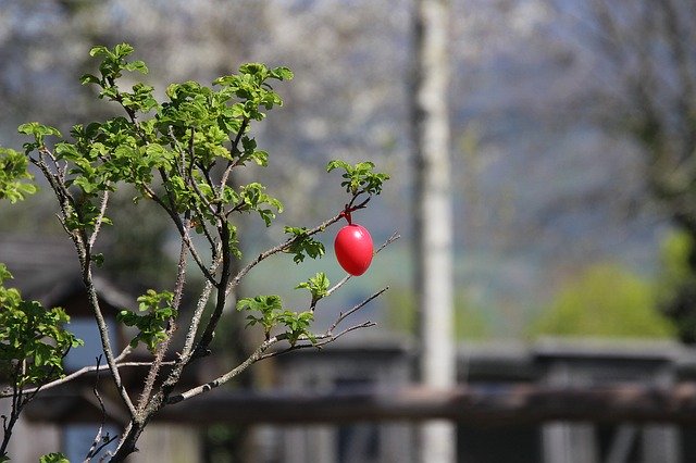 Free download Egg Easter Nature -  free photo or picture to be edited with GIMP online image editor