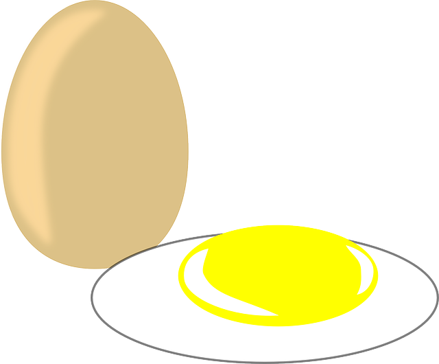 Free download Egg Food Fired - Free vector graphic on Pixabay free illustration to be edited with GIMP free online image editor