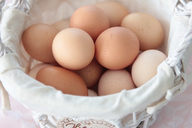 Free download egg food vitamin fresh breakfast free picture to be edited with GIMP free online image editor