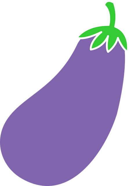 Free download Eggplant Brinjal Aubergine -  free illustration to be edited with GIMP free online image editor