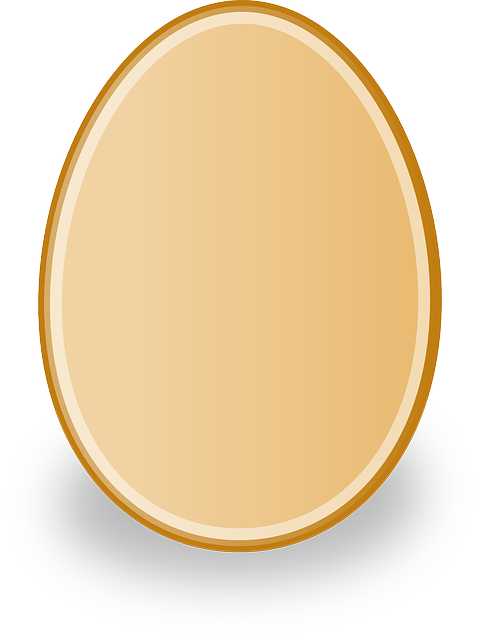 Free download Egg Poultry Chicken - Free vector graphic on Pixabay free illustration to be edited with GIMP free online image editor