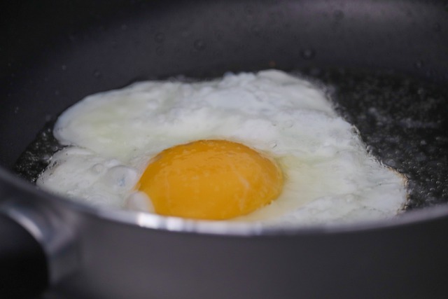 Free download egg protein breakfast food frying free picture to be edited with GIMP free online image editor