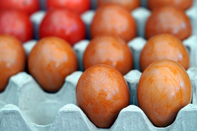 Free download eggs meal food egg box egg carton free picture to be edited with GIMP free online image editor