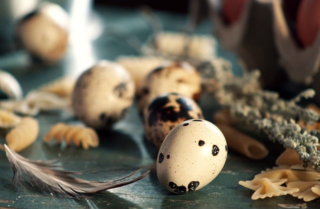 Free download eggs quail eggs nature still life free picture to be edited with GIMP free online image editor