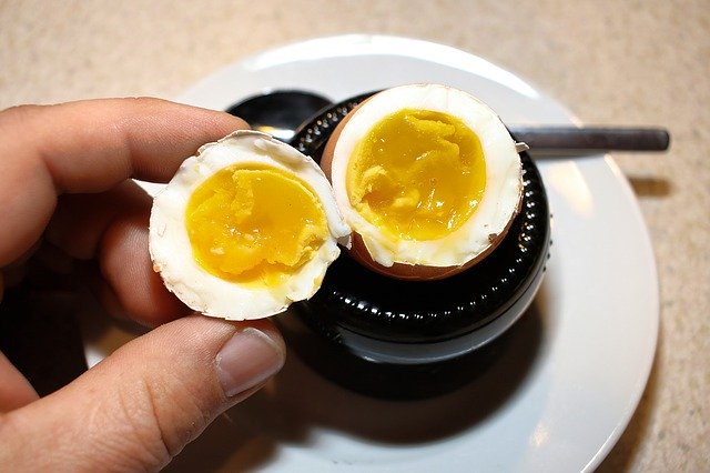 Free download Egg Yolk Protein -  free photo or picture to be edited with GIMP online image editor