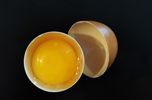 Free download egg yolk shell food raw egg yolk free picture to be edited with GIMP free online image editor