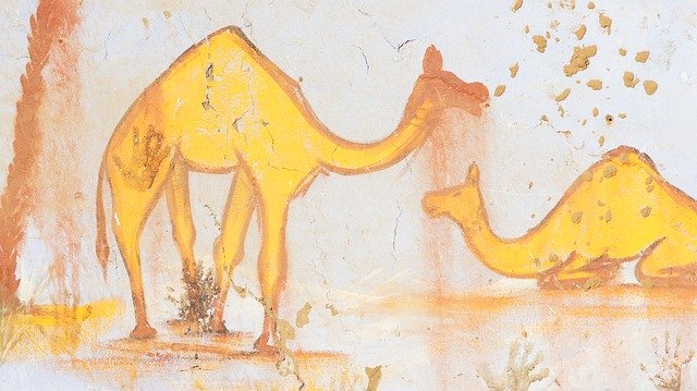 Free download Egypt Camel Africa -  free illustration to be edited with GIMP free online image editor