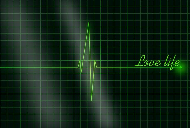 Free download Electrocardiogram The Rhythm Heart -  free illustration to be edited with GIMP free online image editor