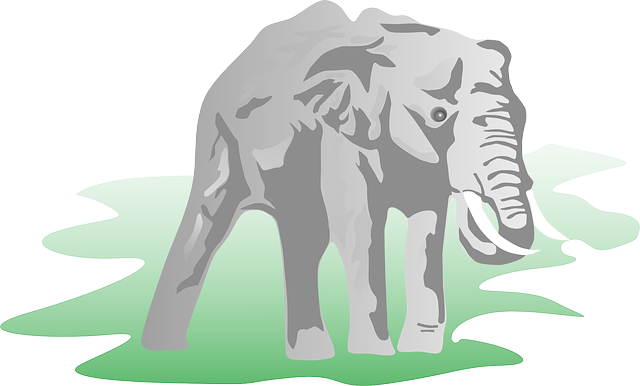 Free download Elephant Animal Mammal - Free vector graphic on Pixabay free illustration to be edited with GIMP free online image editor