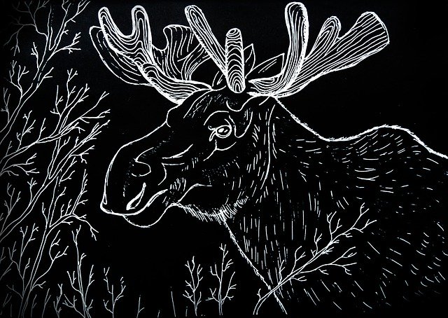 Free download Elk Animals Park -  free illustration to be edited with GIMP free online image editor