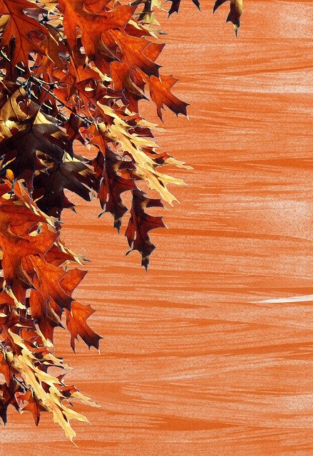 Free download Emerge Autumn Background -  free illustration to be edited with GIMP free online image editor