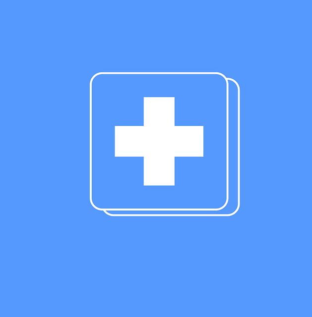 Free download Emergency Icon Blue Health - Free vector graphic on Pixabay free illustration to be edited with GIMP free online image editor