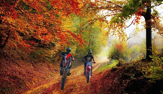 Free download enduro autumn motorcycles free picture to be edited with GIMP free online image editor