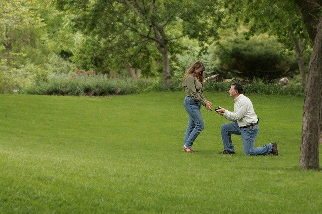 Free download engagement wedding proposal grass free picture to be edited with GIMP free online image editor