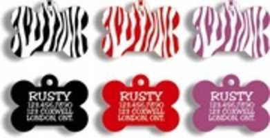 Free download Engraved Pet ID Tags free photo or picture to be edited with GIMP online image editor