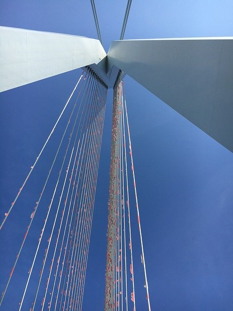 Free download Erasmus Bridge Rotterdam Flags -  free photo or picture to be edited with GIMP online image editor