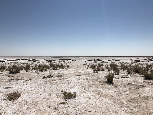 Free download Etosha Africa Safari -  free photo or picture to be edited with GIMP online image editor