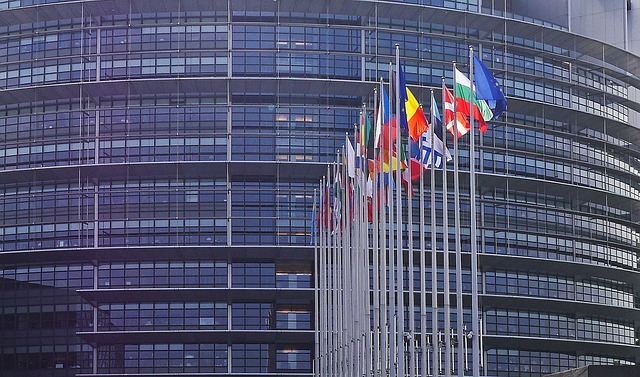 Free download european parliament strasbourg flags free picture to be edited with GIMP free online image editor