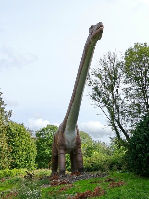 Free download Expensive Prehistoric Dinosaur -  free photo or picture to be edited with GIMP online image editor