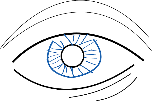 Free download Eye Blue - Free vector graphic on Pixabay free illustration to be edited with GIMP free online image editor