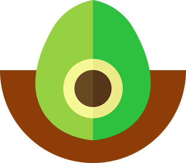 Free download Eye Boat Fruit A - Free vector graphic on Pixabay free illustration to be edited with GIMP free online image editor