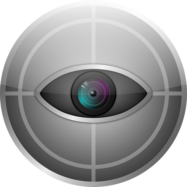 Free download Eye Camera Watcher -  free illustration to be edited with GIMP free online image editor