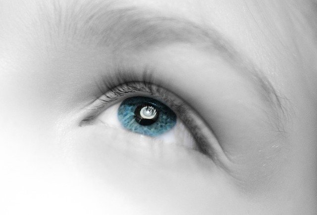 Free download Eye Close Up Staring -  free photo or picture to be edited with GIMP online image editor