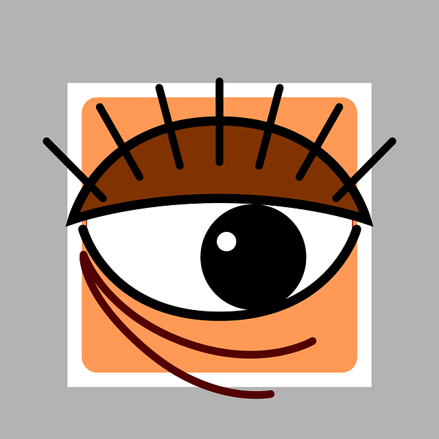 Free download Eye Eyelashes - Free vector graphic on Pixabay free illustration to be edited with GIMP free online image editor