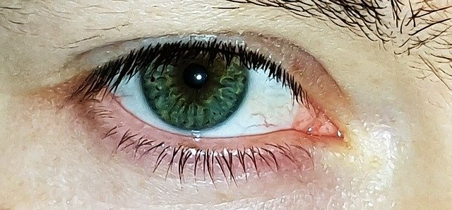 Free download Eye Green Eyelashes -  free illustration to be edited with GIMP free online image editor